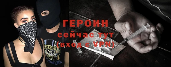 гидра Горняк